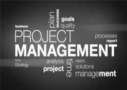 Project Management 